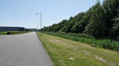 P1000654.JPG