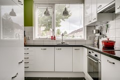 Brederode 58 Duiven20.jpg