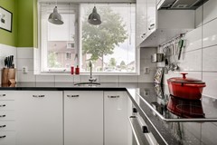 Brederode 58 Duiven21.jpg