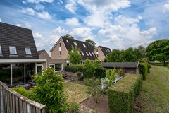 Brederode 58 Duiven27.jpg