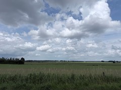 IMG_2313.jpeg