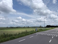 IMG_2315.jpeg