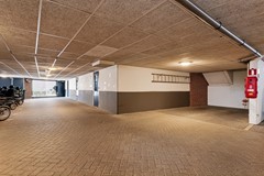 53.jpg