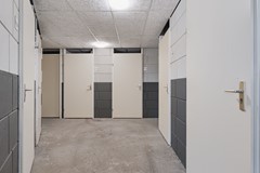 54.jpg