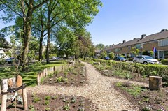 Beukelaar 40 Geldrop I plantsoen.jpg