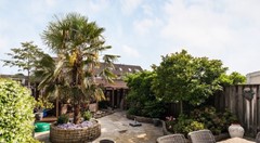 tuin.jpg