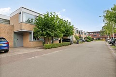 Grasplantsoen475658HEEindhovenNL-03.jpg