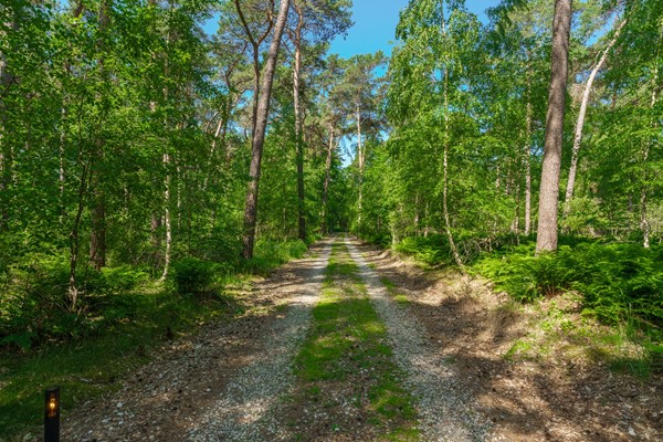 Medium property photo - Sneidershoek 15, 5511 KR Knegsel