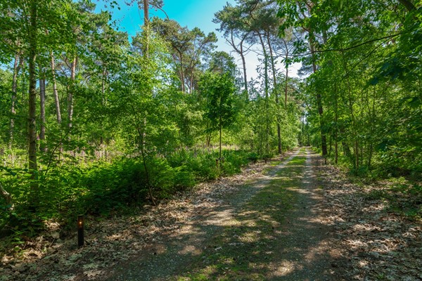 Medium property photo - Sneidershoek 15, 5511 KR Knegsel