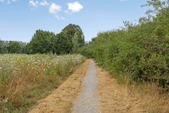 EmileZolaplein95629PMEindhovenNL-29.jpg
