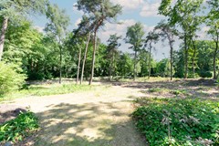 DSC_0015-bewerkt.jpg