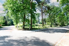 DSC_0019-bewerkt.jpg