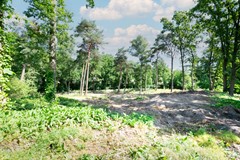 DSC_0016-bewerkt.jpg
