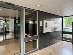 IMG_5929.jpg