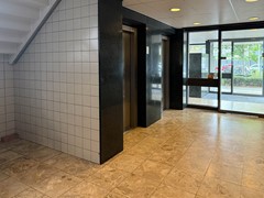 IMG_5930.jpg