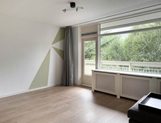 IMG_5935.jpg
