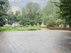 IMG_5944-bewerkt.jpg