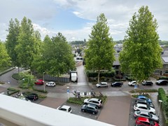 IMG_5943.jpg