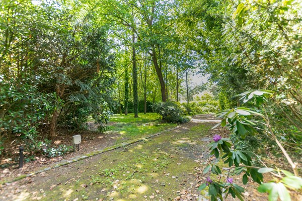 Medium property photo - Hendrik Veenemanstraat, 5691 BD Son en Breugel