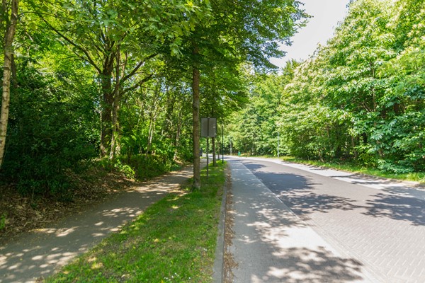 Medium property photo - Hendrik Veenemanstraat, 5691 BD Son en Breugel