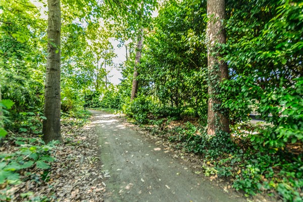 Medium property photo - Hendrik Veenemanstraat, 5691 BD Son en Breugel