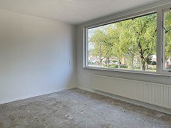 IMG_6274.jpg