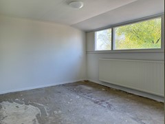 IMG_6281.jpg