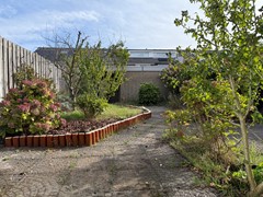 IMG_6196.jpg