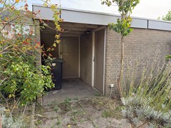 IMG_6197.jpg