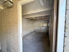 IMG_6267.jpg