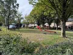IMG_6195.jpg
