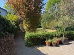 Tuin-nieuw 2.jpeg