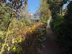 Tuin-nieuw 3.jpeg