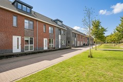Honingbij 104 - Son en Breugel - F-003.jpg