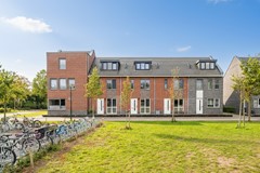 Honingbij 104 - Son en Breugel - F-004.jpg