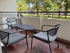 IMG_6317.jpg