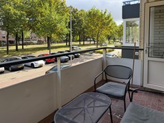 IMG_6319.jpg