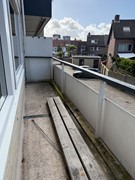 IMG_6344.jpg
