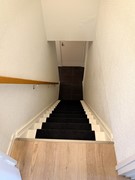 IMG_6374.jpg