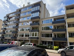 IMG_6337.jpg