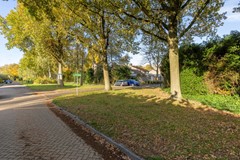 Peellaan 89 - Son en Breugel - F-006.jpg