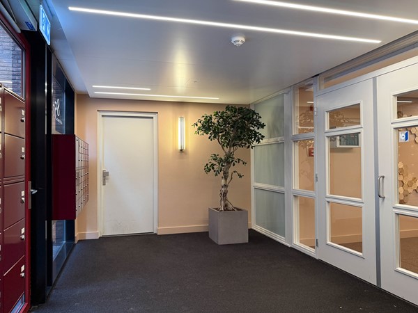 Medium property photo - Lichtstraat 137, 5611 XD Eindhoven