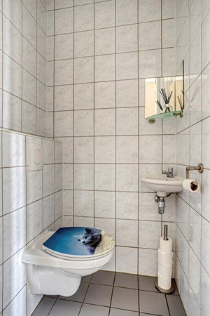Medium property photo - Hendrik Veenemanstraat 52, 5691 BD Son en Breugel