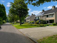 nieuw 2 straatbeeld.PNG