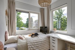 Zebrakever 41 - Son en Breugel - F-039.jpg