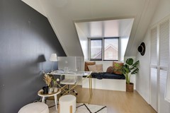 Zebrakever 41 - Son en Breugel - F-048.jpg