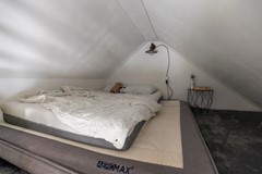 Zebrakever 41 - Son en Breugel - F-052.jpg