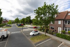 Zebrakever 41 - Son en Breugel - F-003.jpg