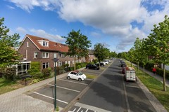 Zebrakever 41 - Son en Breugel - F-005.jpg