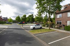 Zebrakever 41 - Son en Breugel - F-007.jpg